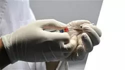 ##IMAGE##
