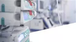 ##IMAGE##