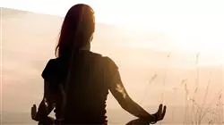 ##IMAGE##