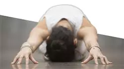 ##IMAGE##