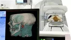 ##IMAGE##