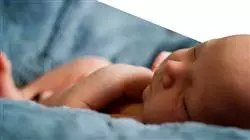 ##IMAGE##