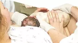 ##IMAGE##