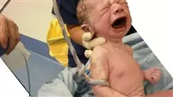 ##IMAGE##