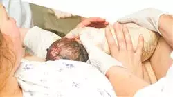 ##IMAGE##