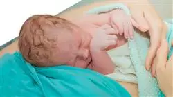 ##IMAGE##