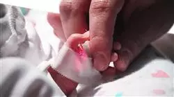 ##IMAGE##