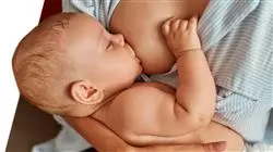 ##IMAGE##