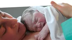 ##IMAGE##