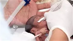 ##IMAGE##