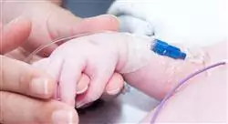 experto cuidados del recién nacido patológico para enfermería