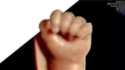 ##IMAGE##
