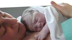 ##IMAGE##