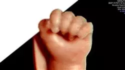 ##IMAGE##