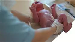 ##IMAGE##