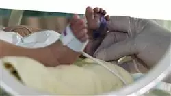 ##IMAGE##