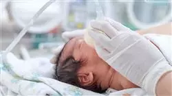 diplomado online cuidados paliativos pediatricos enfermeria