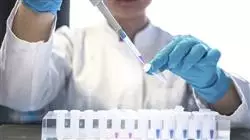 ##IMAGE##