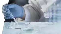 ##IMAGE##