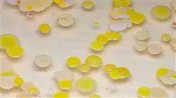 ##IMAGE##