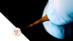 ##IMAGE##