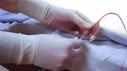 ##IMAGE##