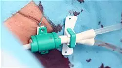 ##IMAGE##