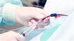 ##IMAGE##