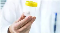 ##IMAGE##