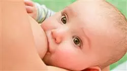 ##IMAGE##