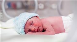 estudiar atención al neonato sano y neonato de riesgo para enfermería