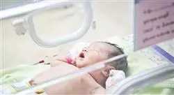 experto atención al neonato sano y neonato de riesgo para enfermería