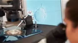 ##IMAGE##