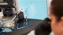 posgrado estudio infertilidad mujer enfermeria servicio reproduccion asistida