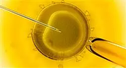 curso online anatomía fisiología genética e inmunología en enfermería en el servicio de reproducción asistida