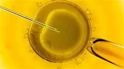 diplomado online anatomia fisiologia genetica inmunologia enfermeria servicio reproduccion asistida