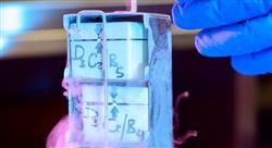 formacion anatomía fisiología genética e inmunología en enfermería en el servicio de reproducción asistida