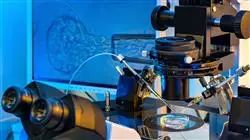 posgrado anatomia fisiologia genetica inmunologia enfermeria servicio reproduccion asistida