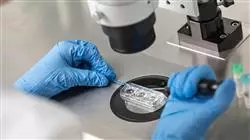 diplomado online consulta banco donantes enfermeria servicio reproduccion asistida