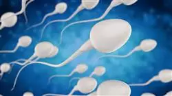 ##IMAGE##