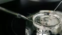 ##IMAGE##