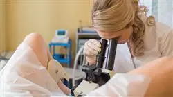 diplomado online tecnicas reproduccion asistida enfermeria
