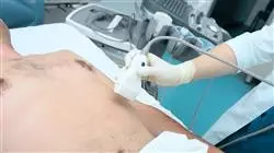##IMAGE##