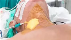##IMAGE##
