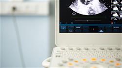 especializacion online ecografia clinica cerebral