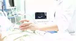 especialización ecografía clínica cardiotorácica para emergencias y cuidados críticos para enfermería