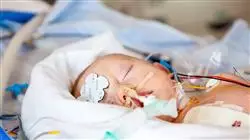 diplomado online enfermeria unidad neonatologia