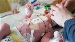 diplomado online administracion medicamentos neonatologia enfermeria