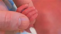 ##IMAGE##