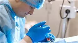 ##IMAGE##